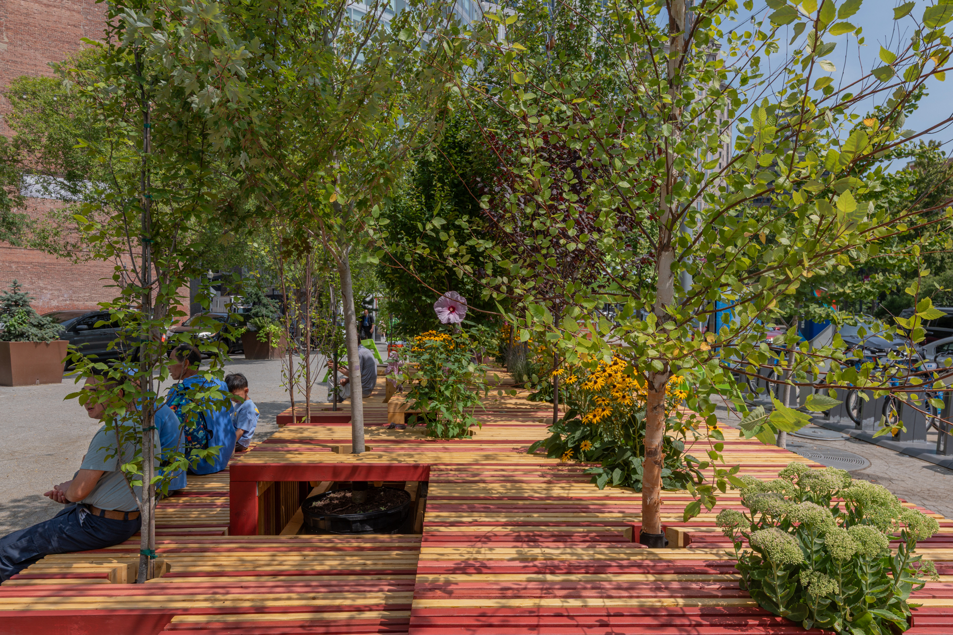 PlantableBoston-90-2